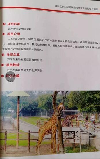 厲害了我的大濱州，15個(gè)招商引資項(xiàng)目集中簽約！